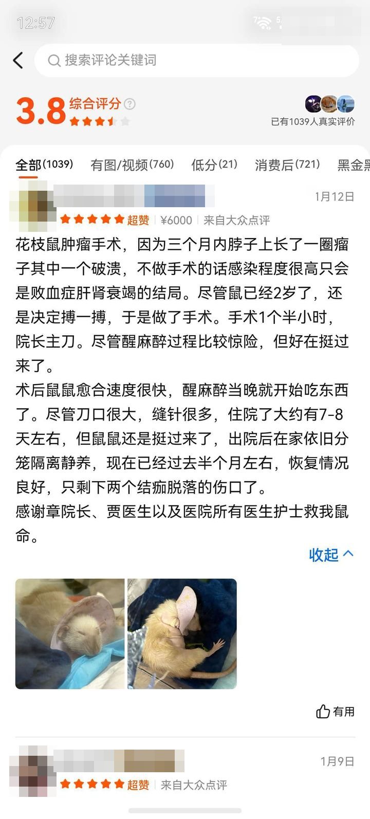 家长评价截图：花枝鼠 · 肿瘤手术